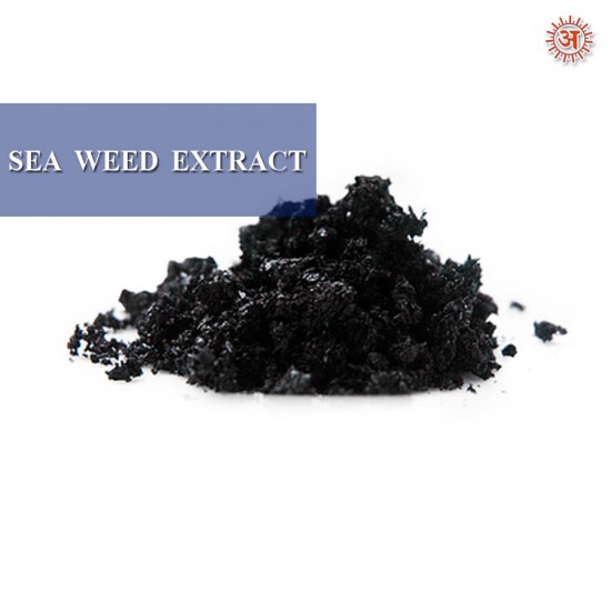 Sea Weed Extract full-image